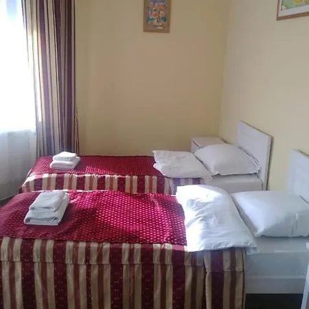 Hotel Patkovski Gold *