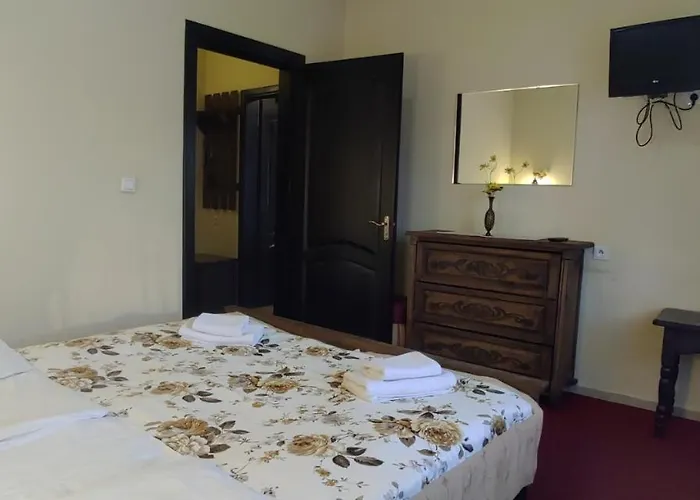 酒店 Patkovski Gold 布克维